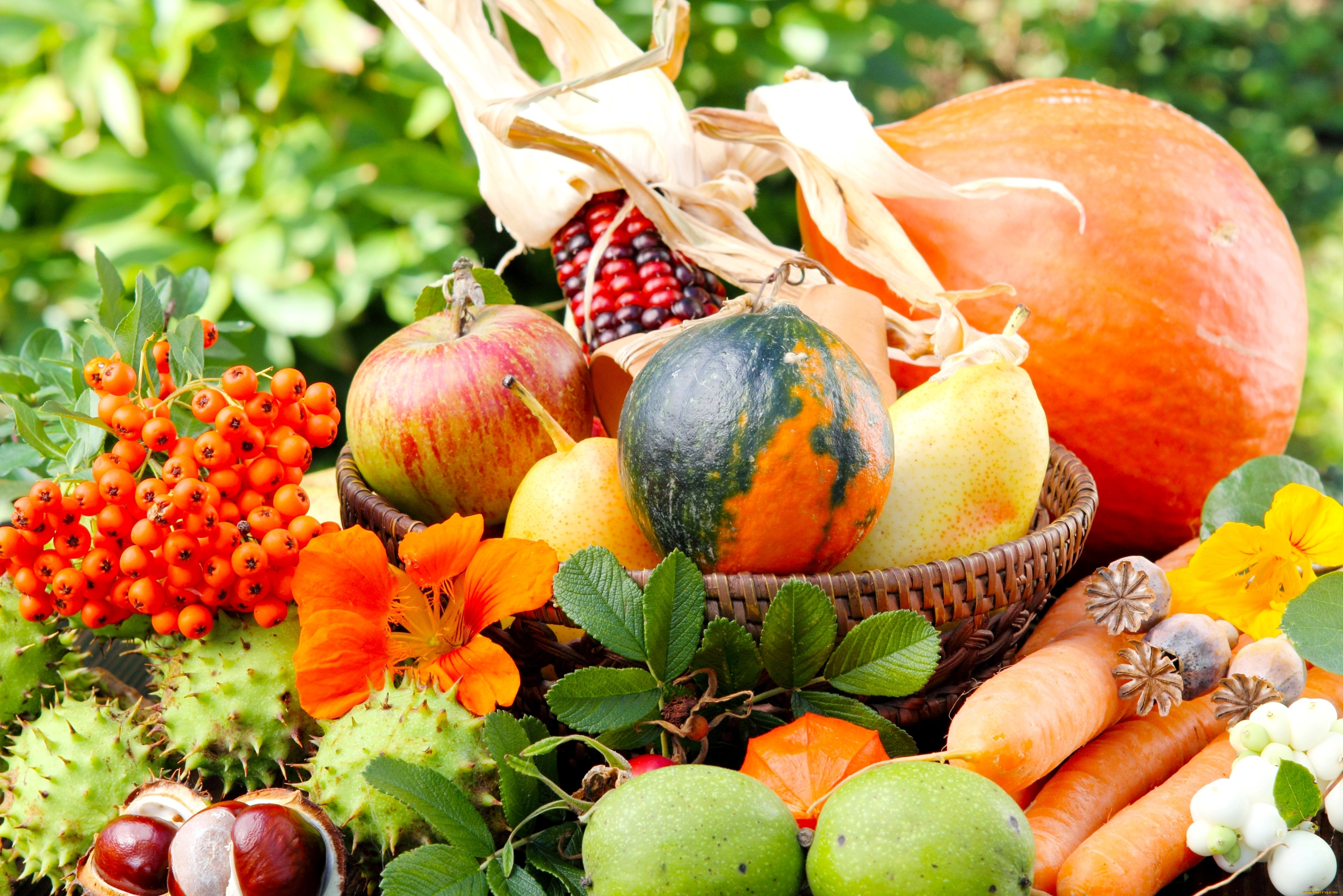 Фрукты ноябрь. Осенние овощи и фрукты. Дары осени. Дары осени овощи и фрукты. Осенний урожай.